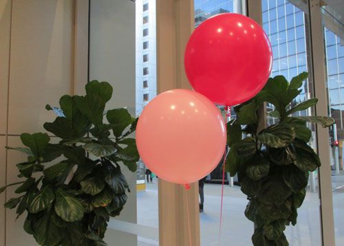 Pink Big Balloon Arrangement